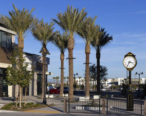 
                                                                Town Center At The Preserve
                                                        
