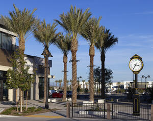 
                                                                Town Center at The Preserve
                                                        